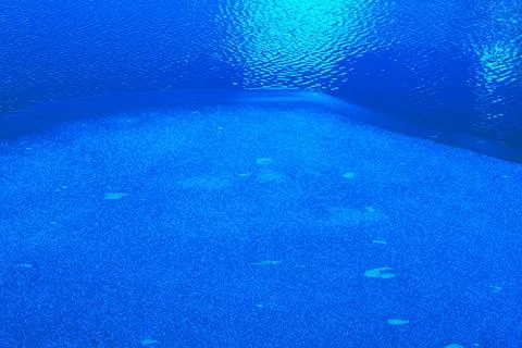 Freezing blue texture Boundary zone of thin ice on the reservoir. Moonligh... Stock Photos
