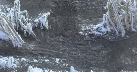 Freezing creek in the ice Video stock 102273062