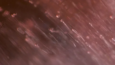 Freezing drop of blood Stock Footage 192397650