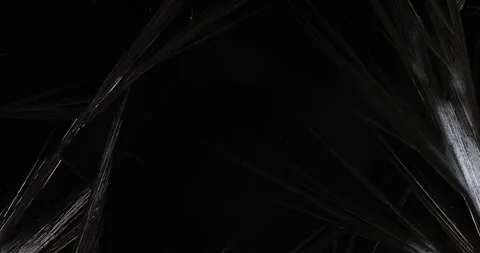 Freezing Vidéo 174945777