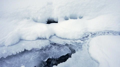 Freezing forest stream Stock Footage 265086560
