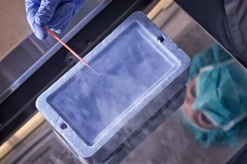 Freezing ovulo Stock Photos