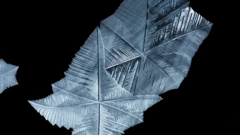 Freezing pattern of a snowflake forming on a soap bubble on black background Stock Footage 276390289