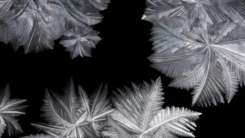 Freezing pattern spreading on a black background Stock Footage 276389070