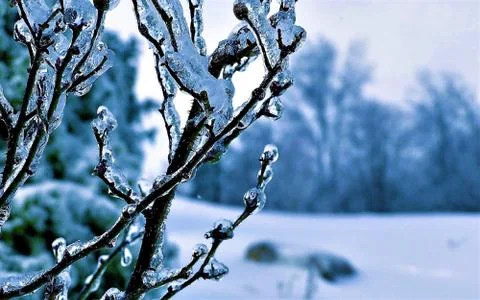 Freezing Stock Photos