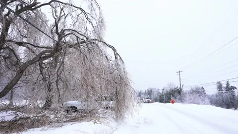 Freezing rain ice storm Stock Footage 169770949