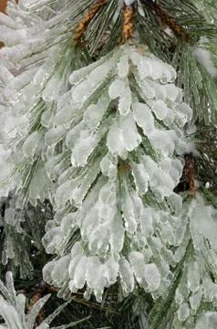 Freezing rain Stock Photos
