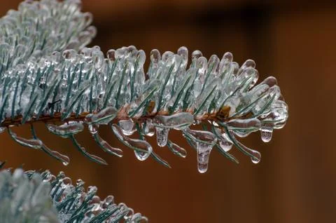 Freezing rain Stock Photos