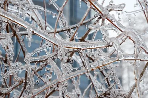 Freezing rain Stock Photos