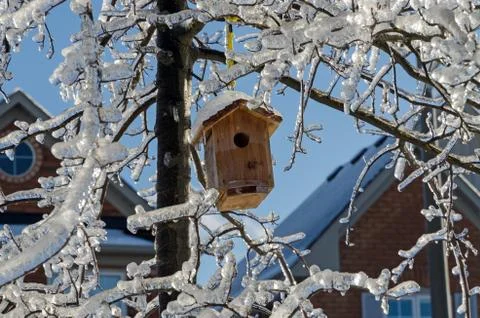 Freezing rain Stock Photos