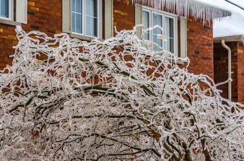 Freezing rain Stock Photos