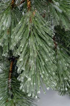 Freezing rain Stock Photos
