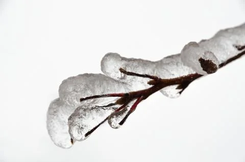 Freezing rain Stock Photos