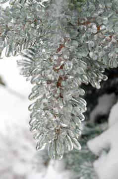 Freezing rain Stock Photos