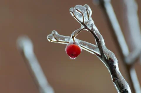 Freezing rain Stock Photos