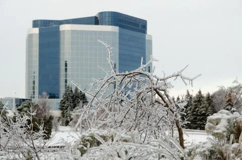 Freezing rain Stock Photos