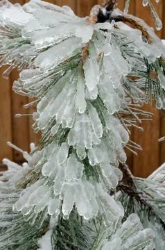 Freezing rain Foto stock