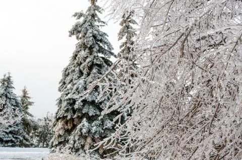Freezing rain Stock Photos