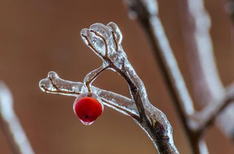 Freezing rain Stock Photos