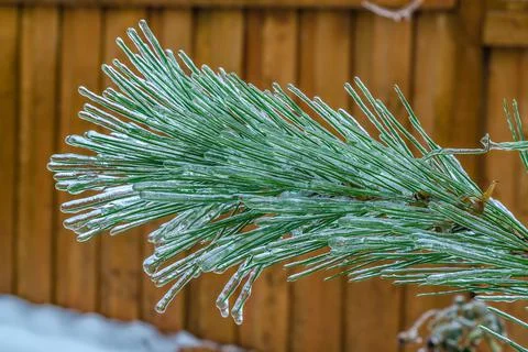 Freezing rain Stock Photos