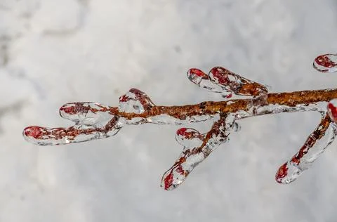 Freezing rain Stock Photos