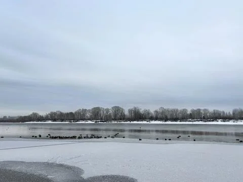 A freezing river with ducks. Landscape cloudy sky Stock Photos
