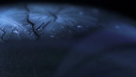 Freezing soap bubble winter holidays background Stock Footage 100550465