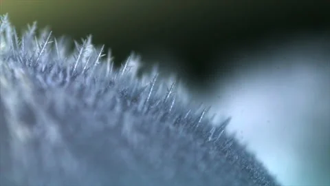Freezing water drop Stock Footage 192322374