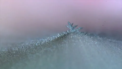 Freezing water drop Stock Footage 192396556