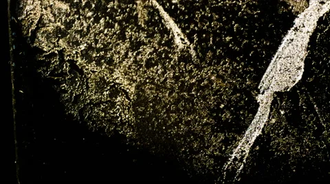 Freezing water on the glass under the microscope Stock Footage 60249557