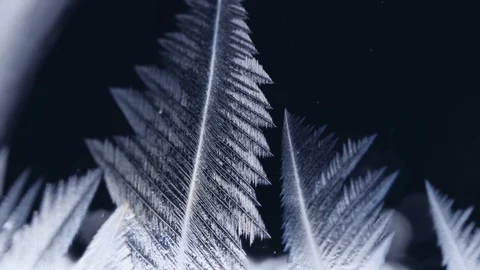 Freezing window close-up, winter holidays background, Stock Footage 81161545