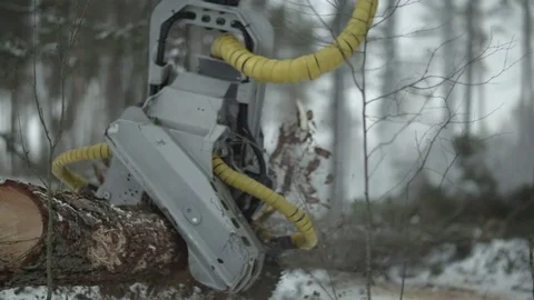 Freight forwarder processing the tree, flycam and slowmotion 스톡 동영상 70415764