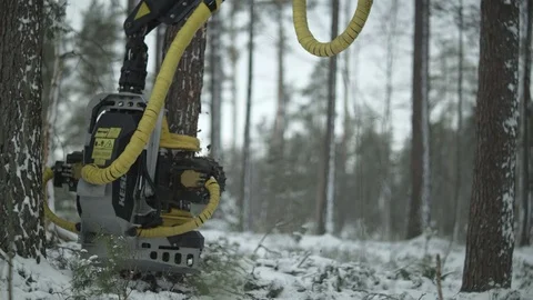 Freight forwarder processing the wood in the forest, flycam shot. slowmotion Stock Footage 70415860