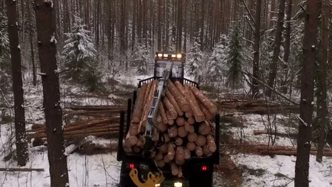 Freight forwarder transporting processed wood Stock Footage 70706317