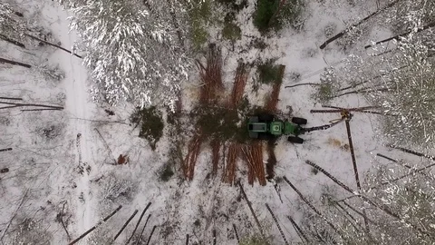 Freight forwarder working in the forest, beautiful view from the above Stock Footage 70706558