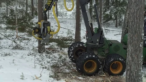 Freight forwarder working in the forest Stock Footage 70415736