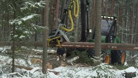 Freight forwarder working in the forest, processing wood Stock Footage 70415589