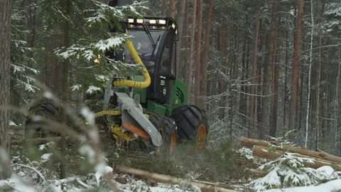 Freight forwarder working in the forest in winter Stock Footage 70415748