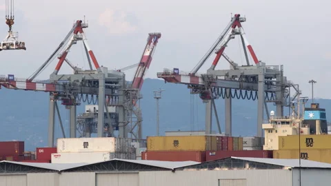Freight Harbor in Italy. Cranes unloading and loading Ship 스톡 동영상 158482292