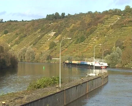 Freight ship and vineyard Vídeo Stock 62786