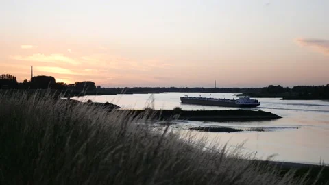 Freight ship sails on the river at sunset Video stock 134372005