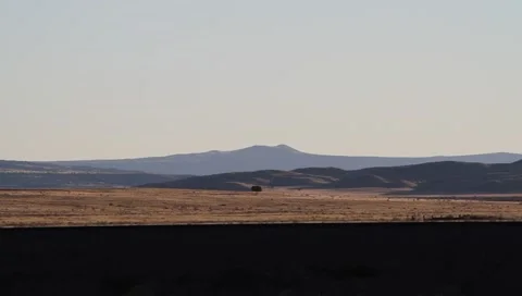 Freight train 1 Stock Footage 1057811