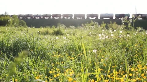 Freight train and meadow with dandelions in the foreground Stock Footage 12451166