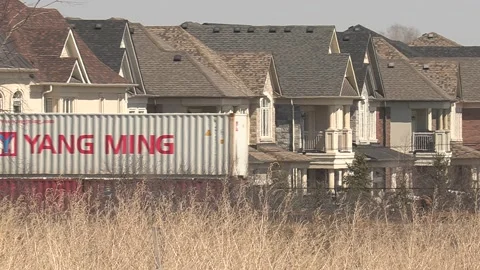 Freight train and shipping containers in residential area with homes close by Vídeo Stock 151666830