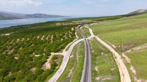 Freight Train Approaching Through Apricot Orchards Along Railway Stock Footage 340523380