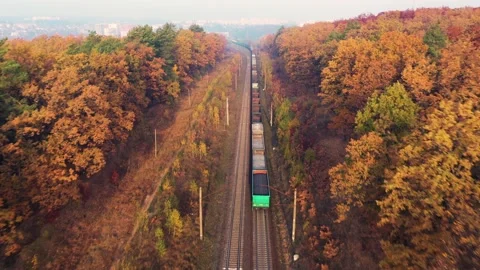 Freight train in beautiful forest in fog at sunrise in autumn Stock Footage 193023973