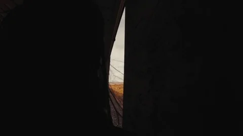 Freight Train Box Car POV Desert Arizona Mountains Female Hobo Dreadlocks Stock Footage 79028134