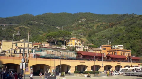 Freight train on the bridge passes an local village. Video stock 54662879