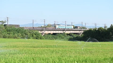 Freight train with cargo containers passing through irrigating rice fields Stock Footage 282900740