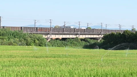 Freight train with cargo containers passing through irrigating rice fields. Stock Footage 283100881
